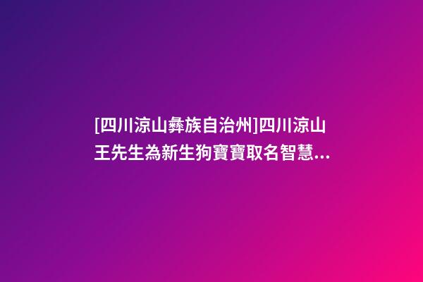 [四川涼山彝族自治州]四川涼山王先生為新生狗寶寶取名智慧型套餐-第1張-公司起名-玄機派